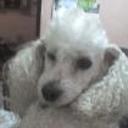 Cony