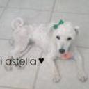 Estrella