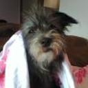 Betty
