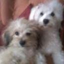 Princesa  y beto