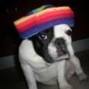 Lola