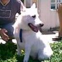 Principe