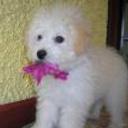 Tizzy