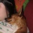 Cuca
