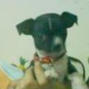 Chapis