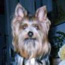 Paco