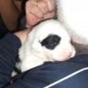 Patxi