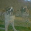 Kira y rundy