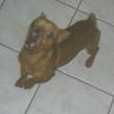 Lucas