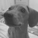 Tony