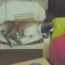 Neron