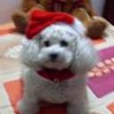 Susy