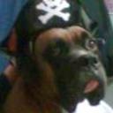 Roko