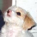 Candy