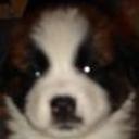 Barry