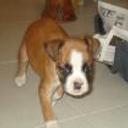 Troy