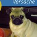 Versache