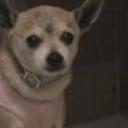 Cuqui