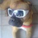 Scotty