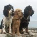 Xena,sofia y athos
