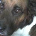 Boby