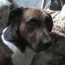 Boby