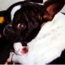 Gordon y luna y duque