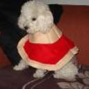 Tisha