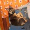 Tonchi javier