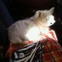 Wini