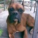 Cacheton