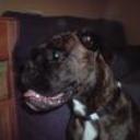 Tayson