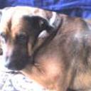 Boby