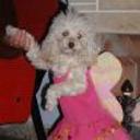 Cande