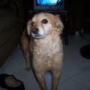 Wanda