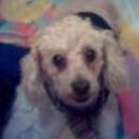 Peque