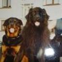 Otto bruno txipi y laster