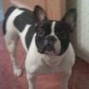 Athos