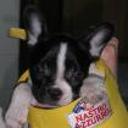 Athos