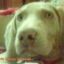 Sharon