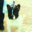 Athos
