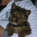Mily