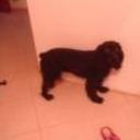 Prinsesa