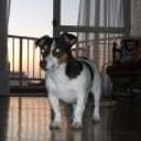 Juanita