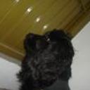 Prinsesa