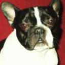 Athos