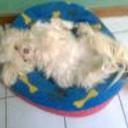 Princesa