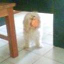 Princesita