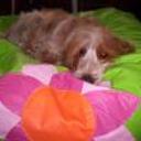Luky
