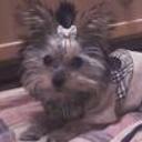 Naira